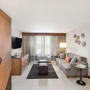 One-Bedroom King Suite Sofa Bed